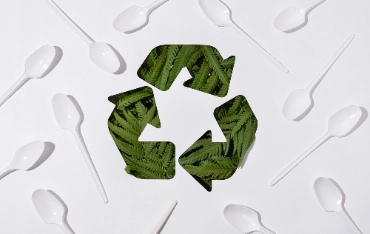 Kiểm soát chất lượng giấy nhiệt