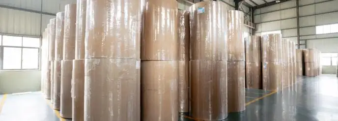 Cuộn giấy nhiệt không chứa BPA